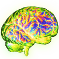 8bitbrain